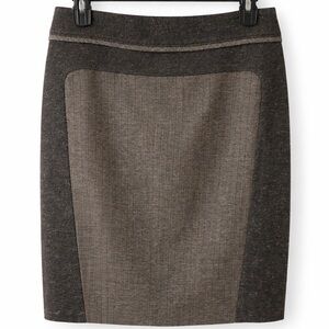 The Limited Classic Panel A-Line Skirt